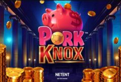 Slots - Logo Pork Knox
