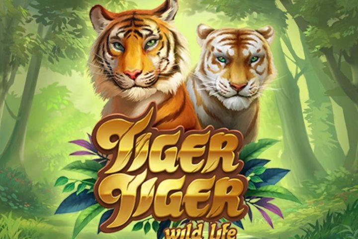 Tiger Tiger Wild Life Logo