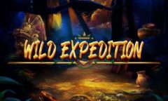 Slots - Logo Wild Expedition