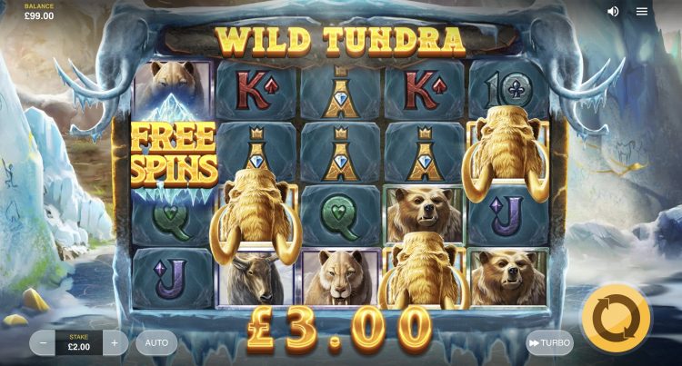Wild Tundra