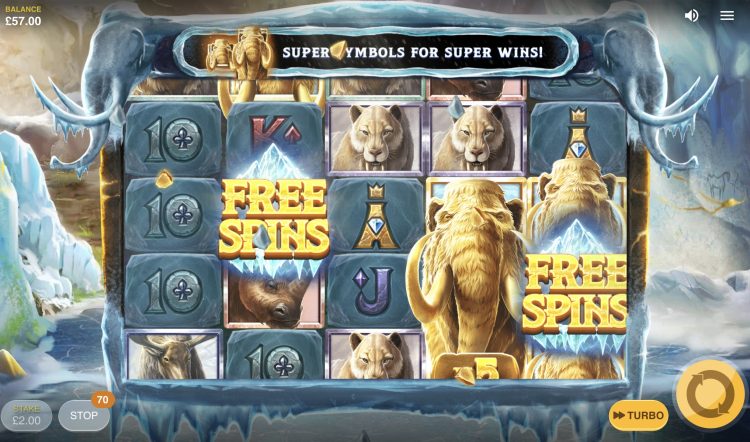 Wild Tundra Super Symbool