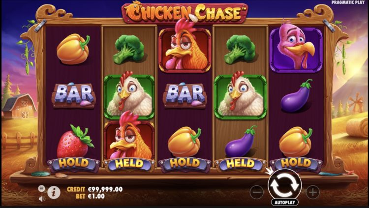 Chicken Chase