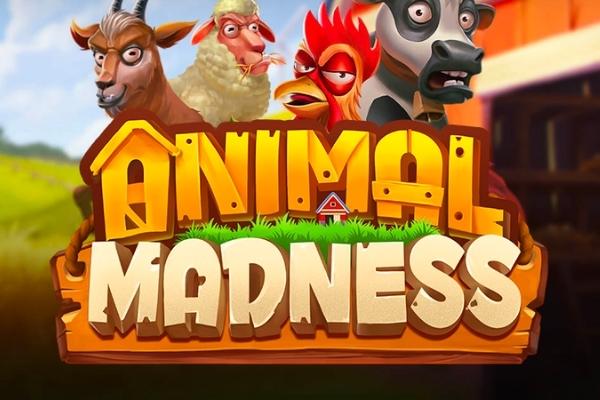 Animal Madness