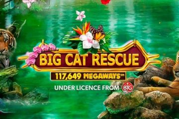 Big Cat Rescue Megaways