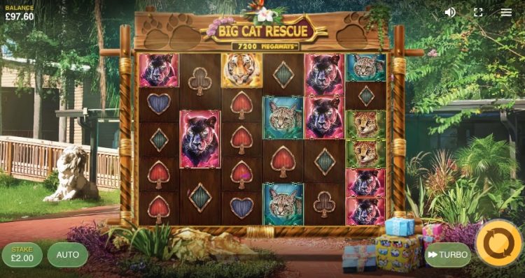 Big Cat Rescue Megaways Gameplay