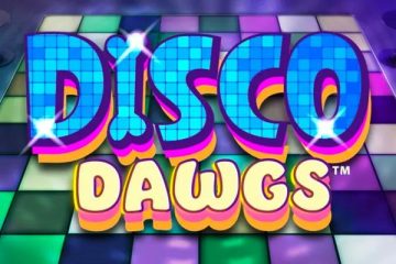 Disco Dawgs