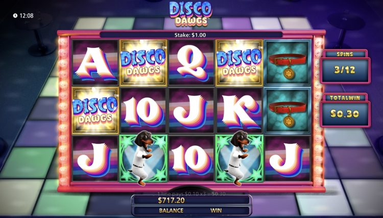 Disco Dawgs Bonus