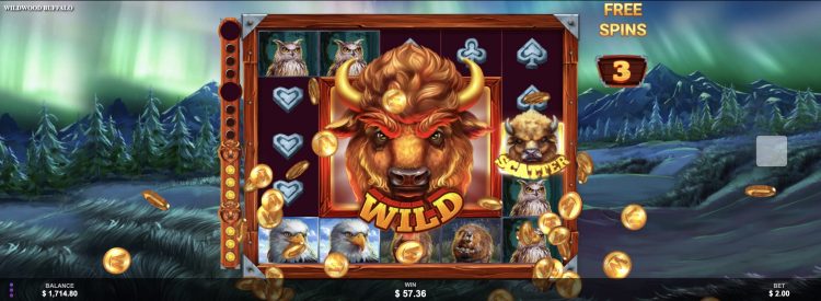 Wildwood Buffalo Bonus