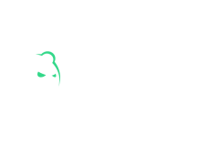 Bruno Online Casino Review