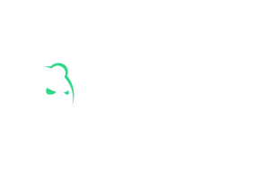Bruno Online Casino Review