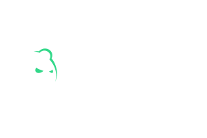 Bruno Casino logo