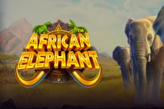 Slots - African Elephant - Online Gokkast Review