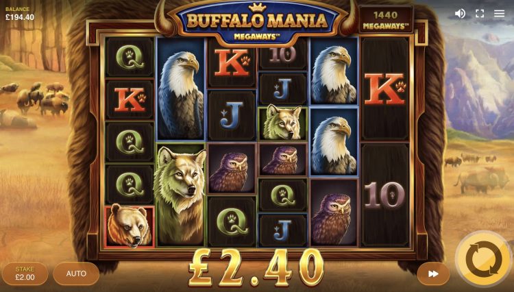 Buffalo Mania Megaways slot review