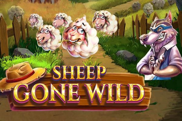 Sheep Gone Wild - Online Slot Review