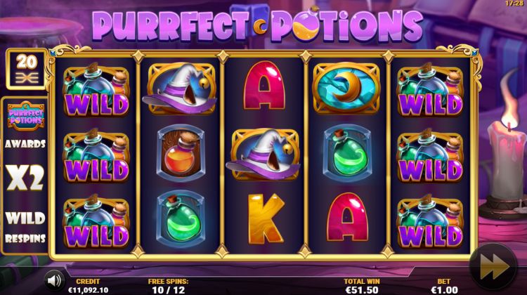 Purrfect Potions - Bonus