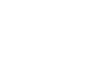 Rakoo Casino Online Casino Review