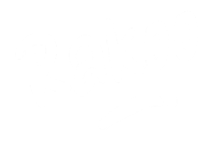 Rakoo Casino logo