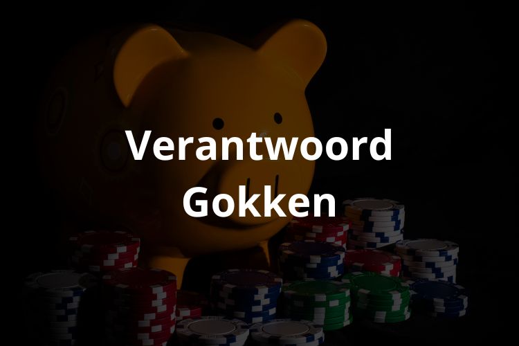 Online Gokken Zonder Registratie