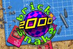 Brick Snake 2000 Online Slot Review