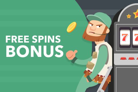 Fee Spins Casino Bonus
