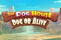 Slots - The Dog House Dog or Alive Online Slot Review