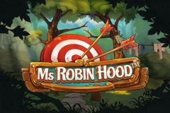 Slots - Ms Robin Hood Online Slot Review
