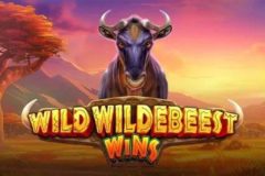 Slots - Wild Wildebeest Wins Online Slot Review