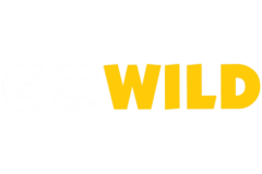 Go Wild Online Casino Review