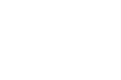 WhiteLion Bets Online Casino Review