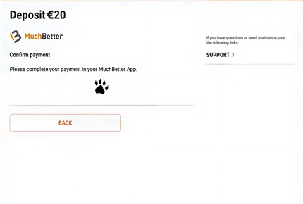 Casino met MuchBetter App - Bevestig je Betaling