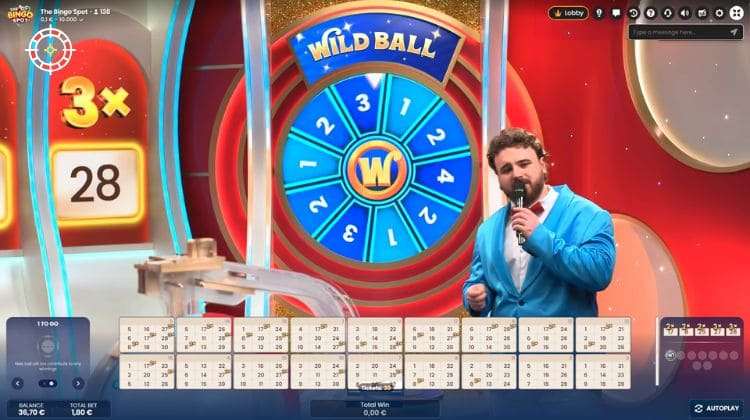 The Bingo Spot Wild Ball