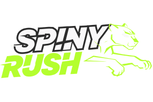 SpinyRush Online Casino Review